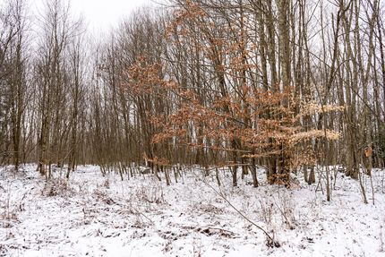 Property for sale in Preston County, West Virginia