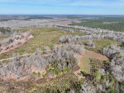 Hunting Land for sale in Twiggs County, Georgia