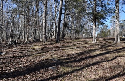 Hunting Land for sale in Pulaski County, Kentucky