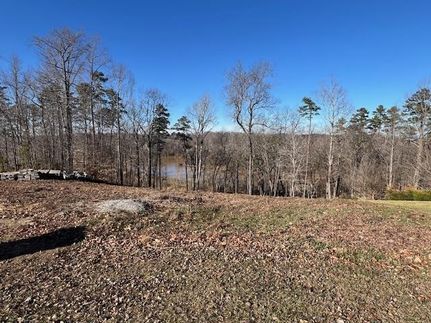 Lakefront Property for sale in Danville City County, Virginia