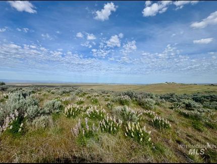 Undeveloped Land for sale in Elmore County, Idaho