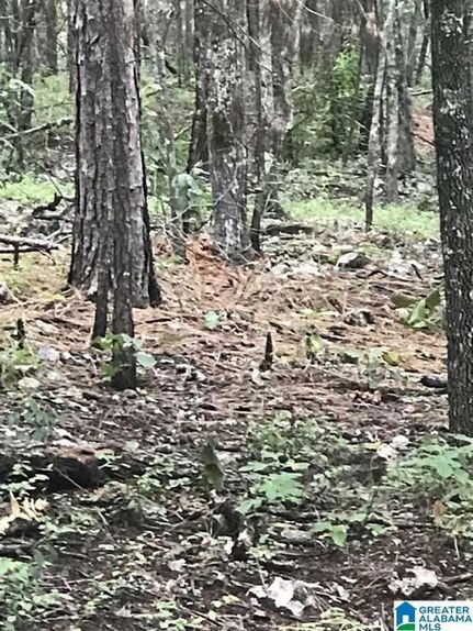 Property for sale in Talladega County, Alabama