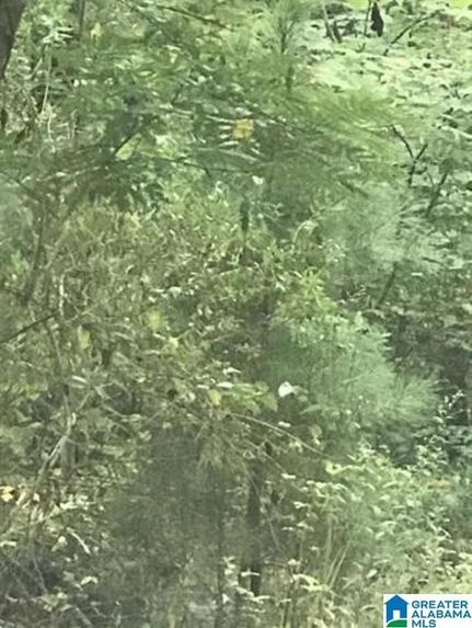 Property for sale in Talladega County, Alabama