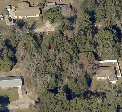 Undeveloped Land for sale in Marion County, Florida