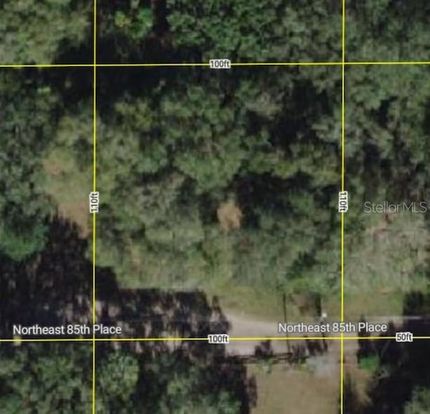 Undeveloped Land for sale in Marion County, Florida