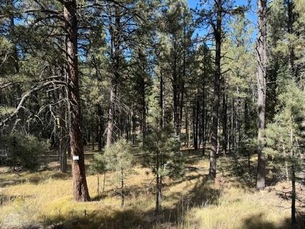 Property for sale in Colfax County, New Mexico