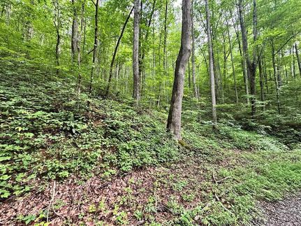 Property for sale in Clay County, North Carolina