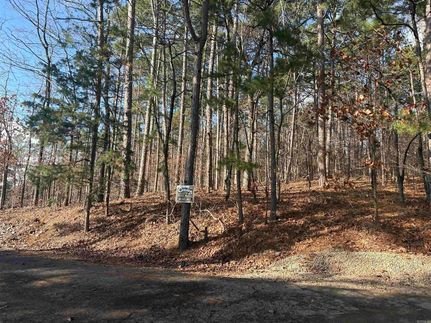 Undeveloped Land for sale in Saline County, Arkansas