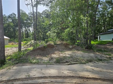 Undeveloped Land for sale in Marion County, Florida