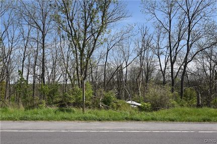 Undeveloped Land for sale in Oneida County, New York