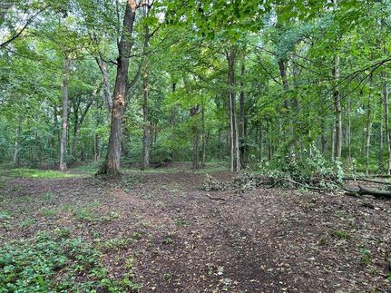 Undeveloped Land for sale in Ottawa County, Ohio