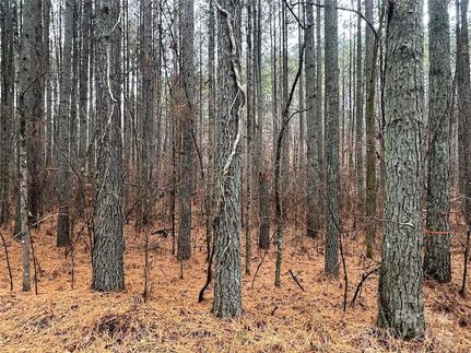 Property for sale in Rutherford County, North Carolina