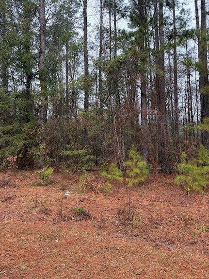 Property for sale in Orangeburg County, South Carolina
