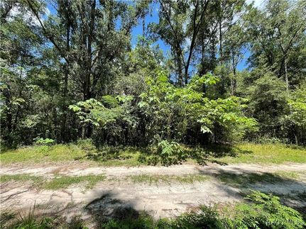 Undeveloped Land for sale in Marion County, Florida