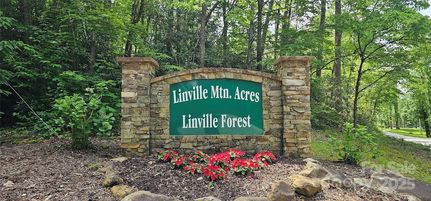 Undeveloped Land for sale in McDowell County, North Carolina