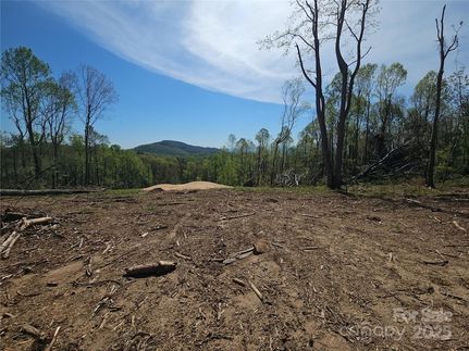 Undeveloped Land for sale in Henderson County, North Carolina