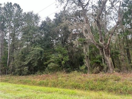 Undeveloped Land for sale in Glynn County, Georgia