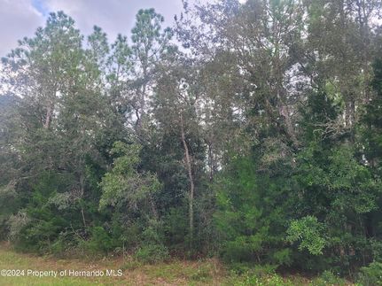 Property for sale in Hernando County, Florida