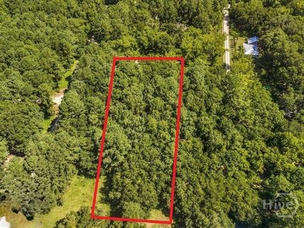 Undeveloped Land for sale in Dodge County, Georgia
