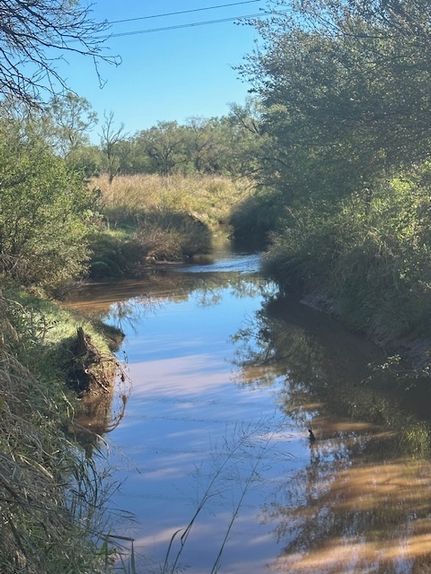 Riverfront Property for sale in Jones County, Texas