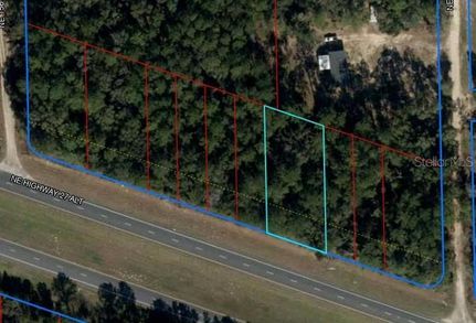 Property for sale in Levy County, Florida