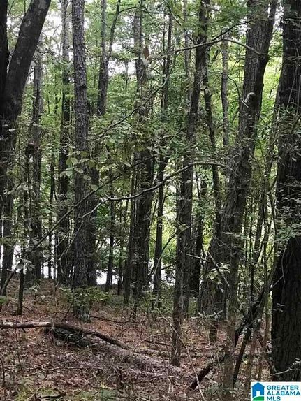 Property for sale in Talladega County, Alabama