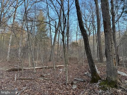 Property for sale in Warren County, Virginia