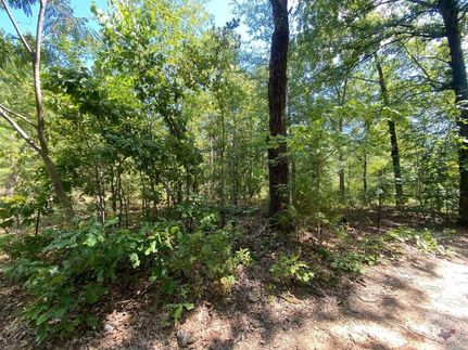 Undeveloped Land for sale in Bowie County, Texas
