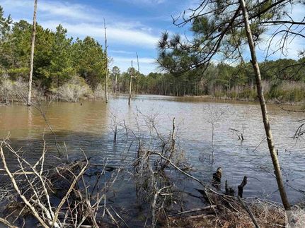 Undeveloped Land for sale in Cass County, Texas