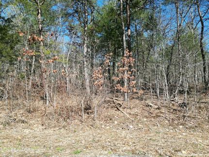 Undeveloped Land for sale in Cumberland County, Tennessee