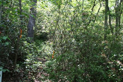 Undeveloped Land for sale in Highland County, Virginia