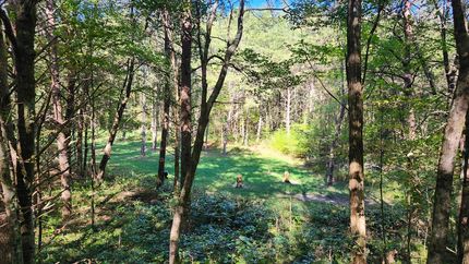 Undeveloped Land for sale in Grundy County, Tennessee