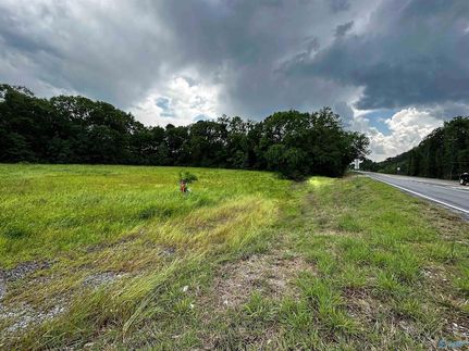 Undeveloped Land for sale in Saint Clair County, Alabama