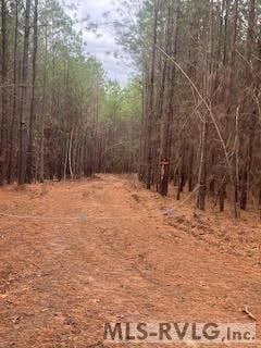 Property for sale in Mecklenburg County, Virginia