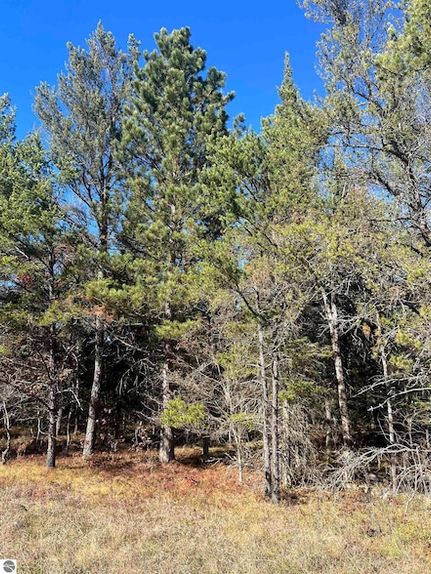 Undeveloped Land for sale in Crawford County, Michigan