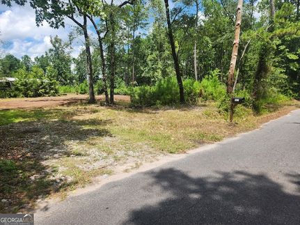 Undeveloped Land for sale in Camden County, Georgia