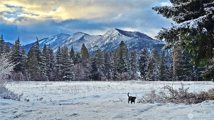 Undeveloped Land for sale in Kittitas County, Washington