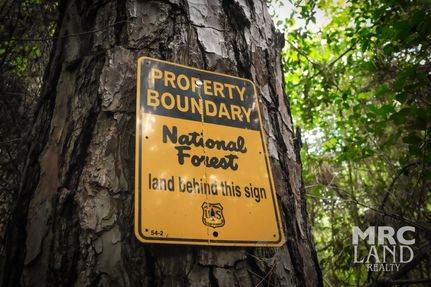 Property for sale in Houston County, Texas