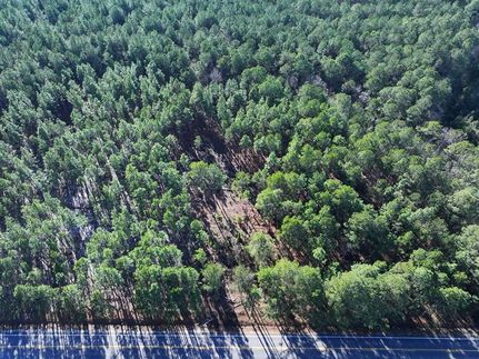 Undeveloped Land for sale in Robeson County, North Carolina