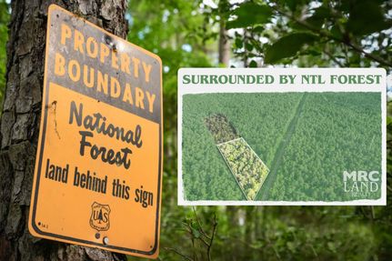 Residential Property for sale in Houston County, Texas