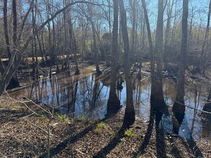 Property for sale in Laurens County, Georgia