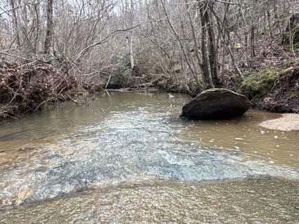 Property for sale in Chilton County, Alabama