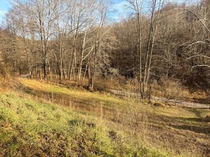 Property for sale in Taylor County, West Virginia