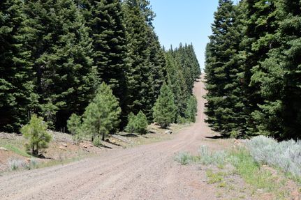 Undeveloped Land for sale in Modoc County, California