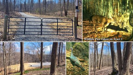 Property for sale in Pike County, Ohio