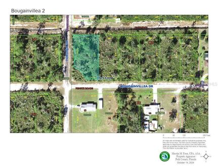 Undeveloped Land for sale in Polk County, Florida