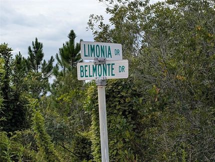 Undeveloped Land for sale in Polk County, Florida