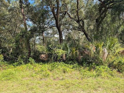 Undeveloped Land for sale in Polk County, Florida