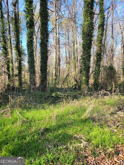 Property for sale in Gwinnett County, Georgia