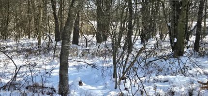 Property for sale in Carbon County, Pennsylvania